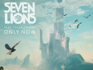 Seven Lions x Tyler Graves - Only Now (Ratitle Remix)
