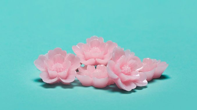 Slowbeam Hanami EP